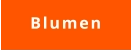 Blumen
